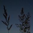 p�ed z�padem slunce